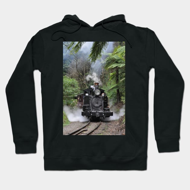 Puffing Billy, Selby, Vic Hoodie by kathiemt